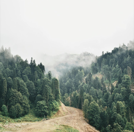 The Journey Wellness Coaching