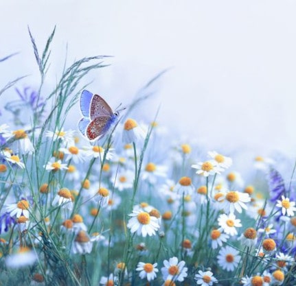 The Sanctuary SOS Sleep Coaching